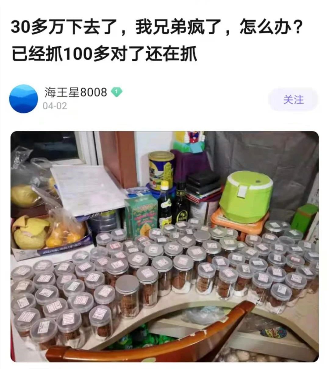 核桃也玩“抓盲盒”？有人已经花了30多万了！