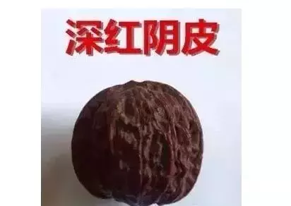 文玩核桃青皮腐烂值得盘吗（文玩核桃阴皮和返油怎么办）