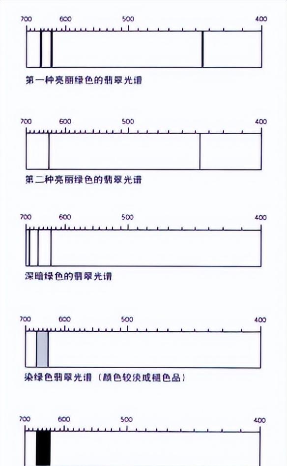 翡翠的鉴定特征(怎么鉴定翡翠的真假)