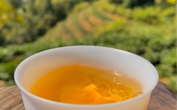 素烧羊脂玉瓷器茶具鉴别(羊脂玉茶具跟白瓷区别)