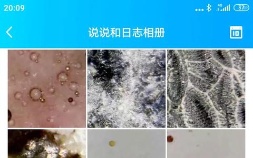 瓷器古董鉴定网(古瓷器鉴定网)