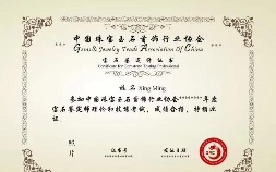 玉石鉴定师怎么考(珠宝玉石鉴定师怎么考)