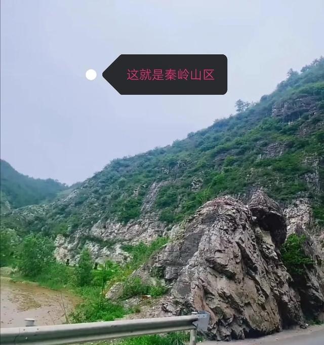 绿玛瑙有吗(绿玛瑙值钱吗)