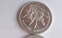一角硬币收藏价格表图(1角硬币收藏价格表2022)