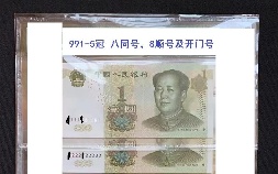1999年一元纸币收藏价格表(1999年一元纸币收藏价格表格)