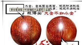 小叶金星紫檀手串鉴别(爆满金星小叶紫檀手串)