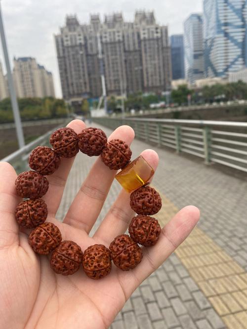 金刚菩提子手串几瓣的最好