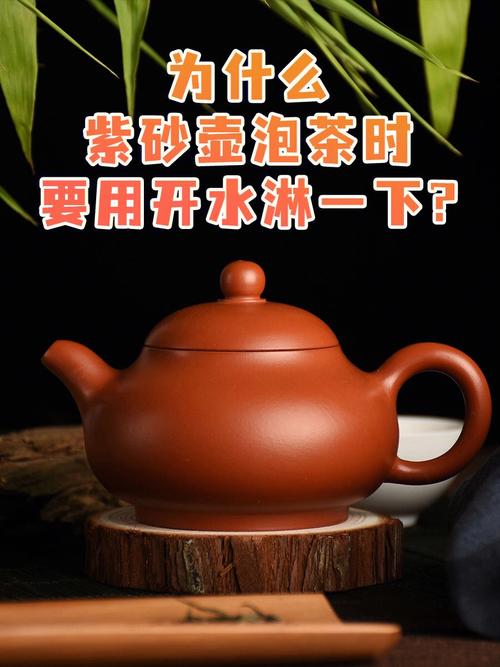 紫砂茶壶适合泡什么茶叶好